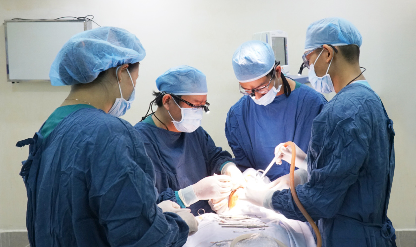 trong-rang-implant-gia-re-o-tphcm